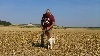  - Fields d'été , GT et Bécasse de Iper