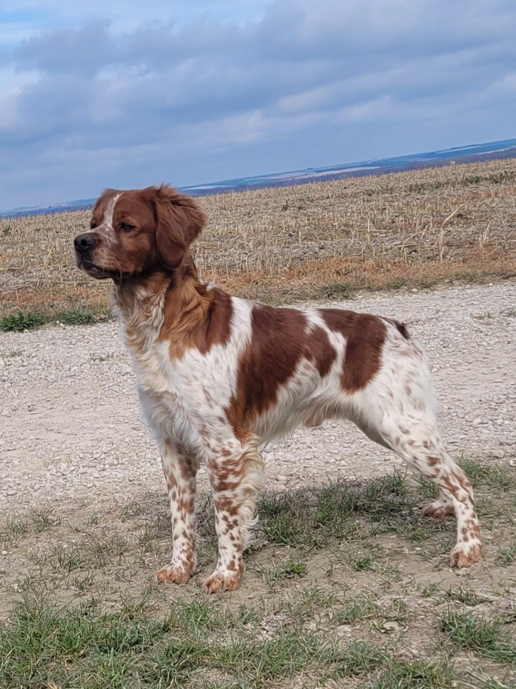 Début de la saison de printemps